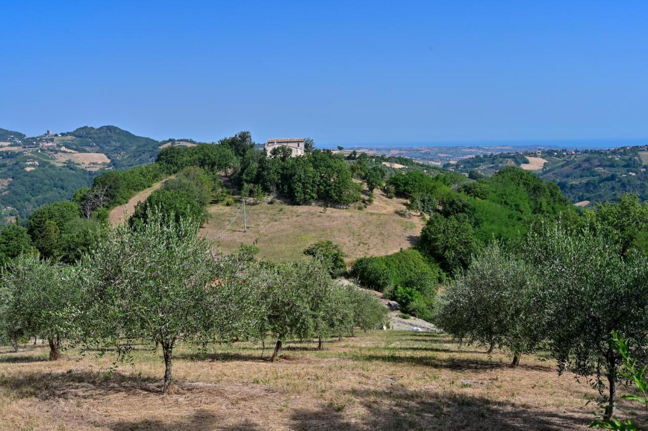 Casale Romani Country Residence Cerreto Castello Exteriör bild